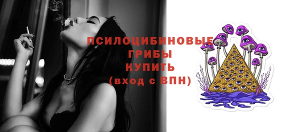 гашик Белоозёрский