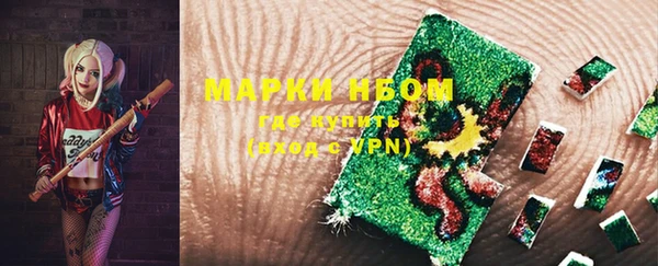 крисы Белокуриха