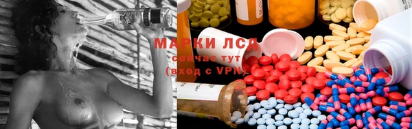 шишки Баксан