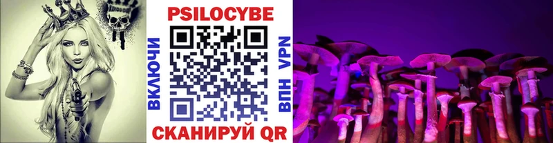 Псилоцибиновые грибы Psilocybe  купить наркоту  MEGA   Вуктыл 
