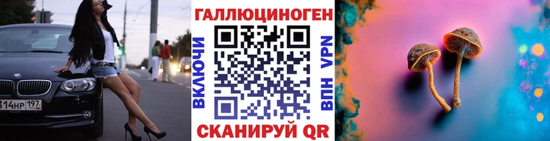 Галлюциногенные грибы Psilocybine cubensis Вуктыл